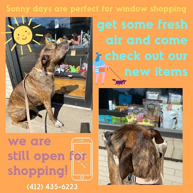 Safely distanced exercise for you and your furry friend is important to stay sane and healthy right now.  Get out and enjoy the sun and come check out our window display to see all we have to offer!  PICK UP and FREE DELIVERY only! (412) 435-6223