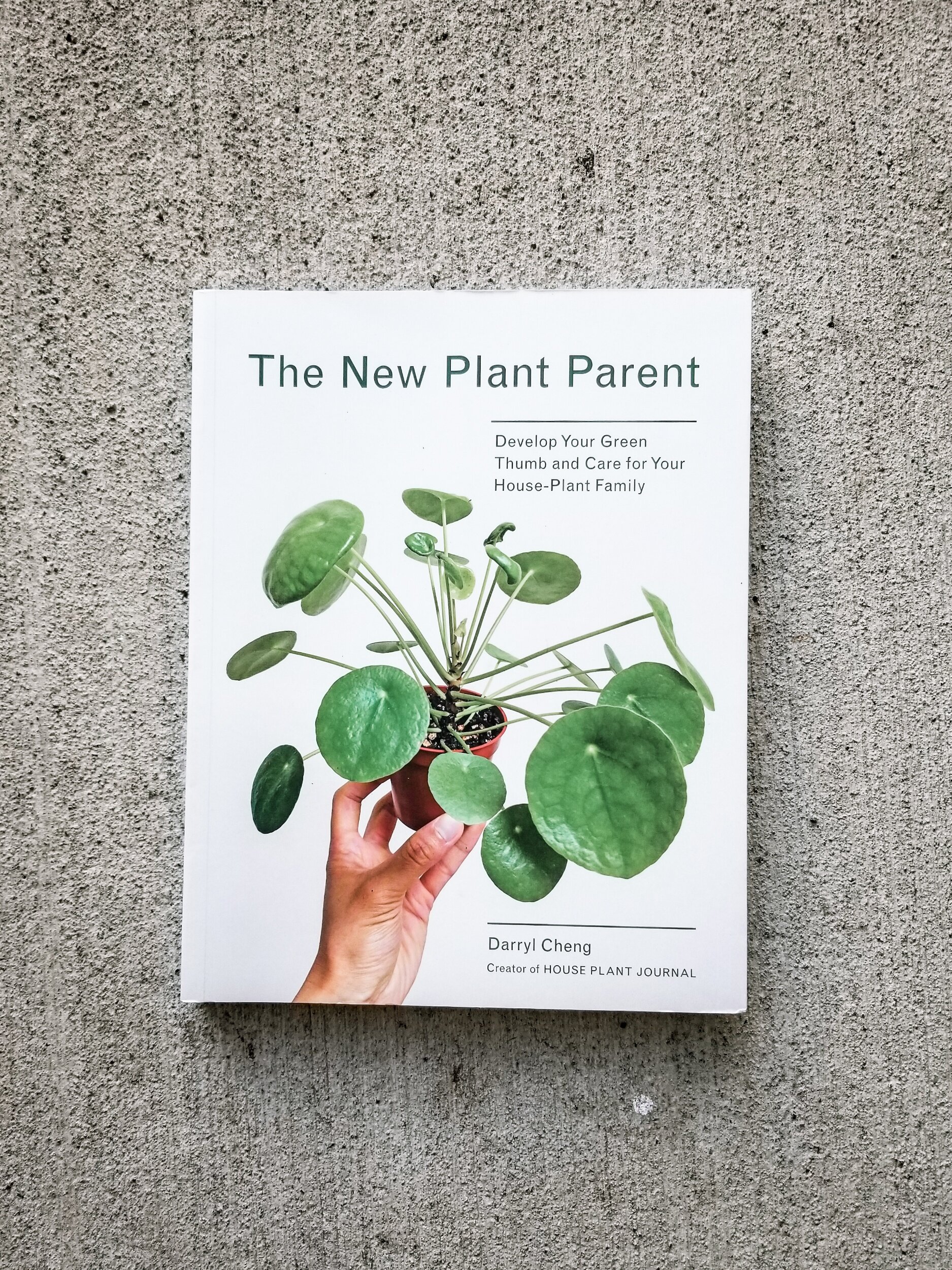 4 Houseplant Books I Always Recommend Houseplant Academy Houseplant Courses And Education For The Indoor Plant Person