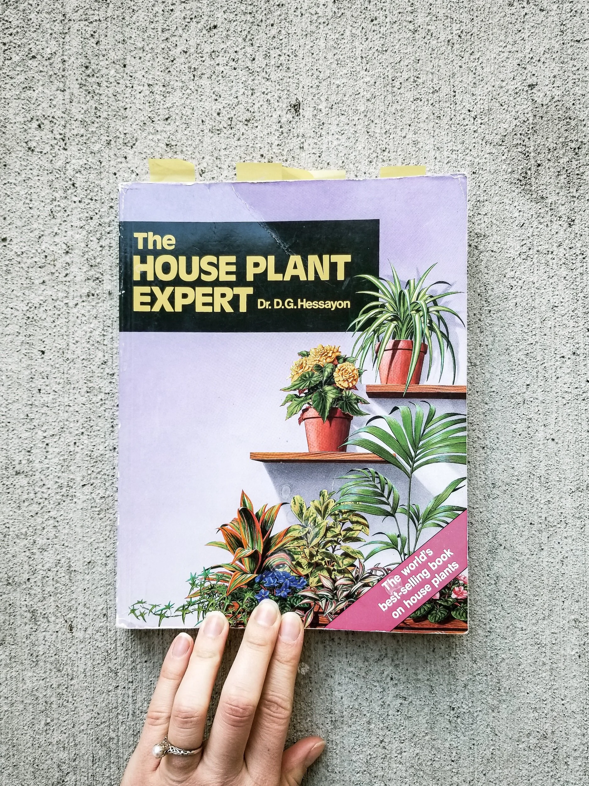 4 Houseplant Books I Always Recommend Houseplant Academy Houseplant Courses And Education For The Indoor Plant Person
