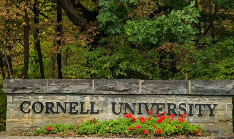 Cornell Comms About Rape Allegations