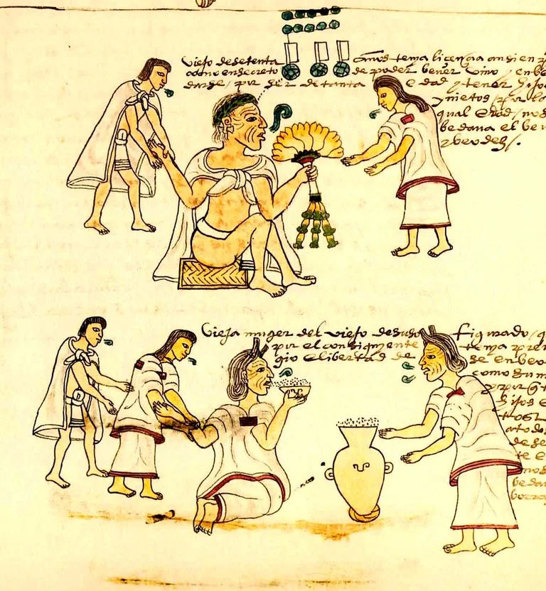 Pulque - The Origin of Mezcal