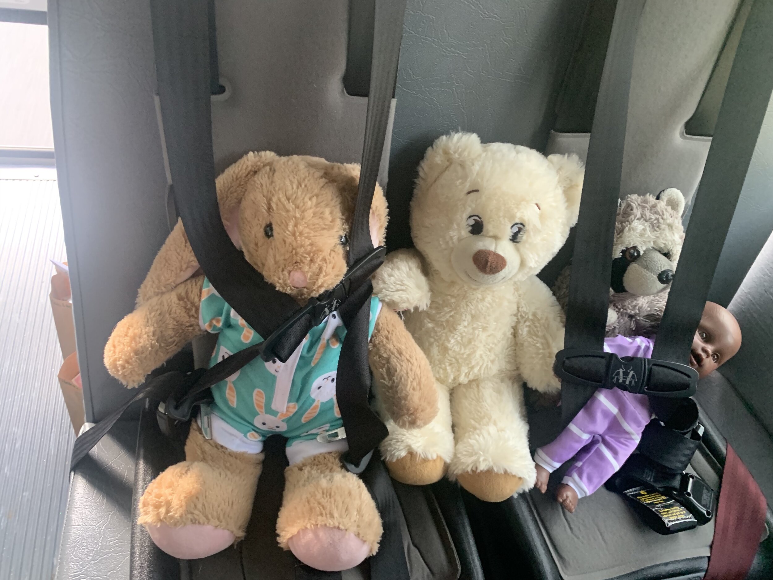 Stuffy Bus.jpg