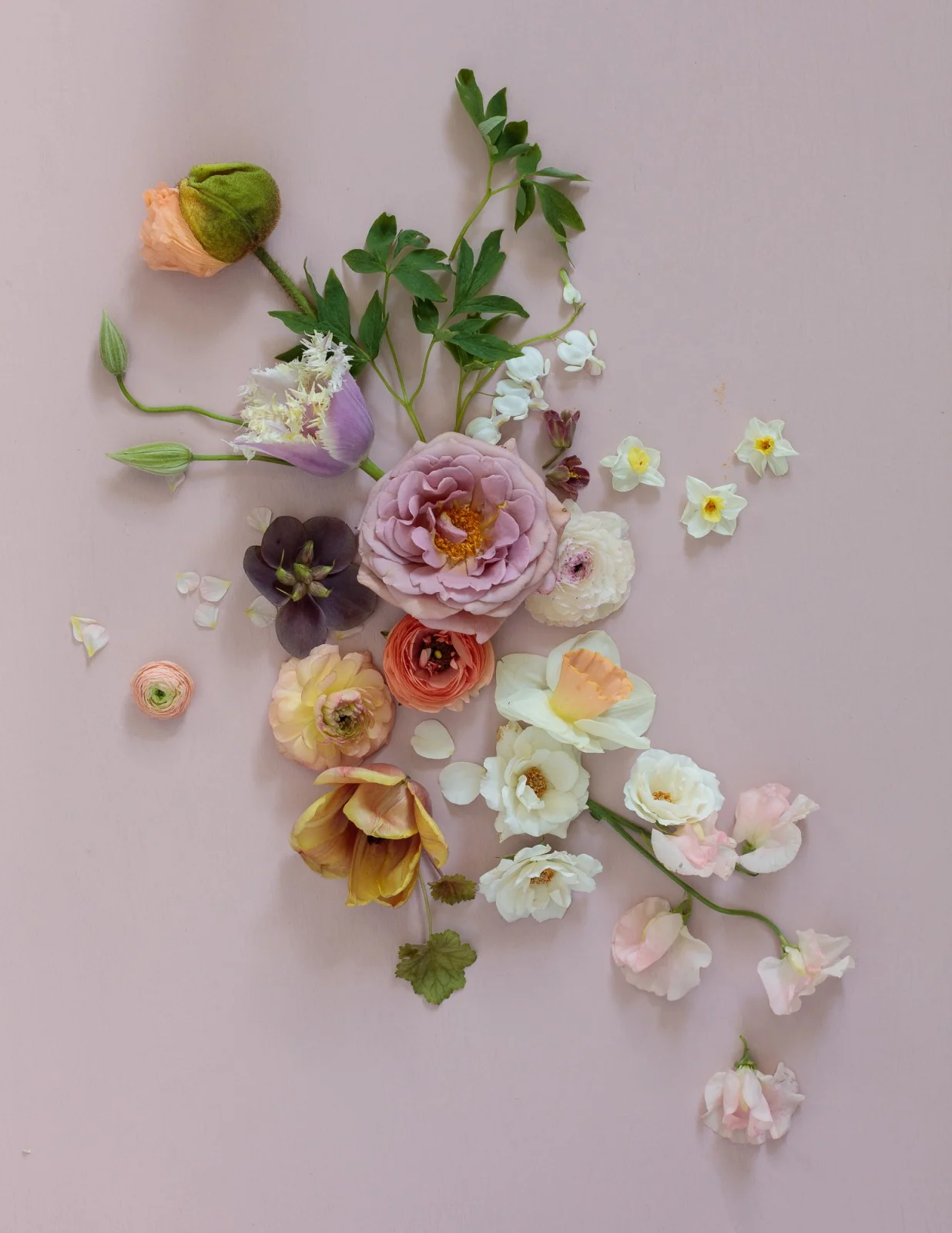 0013_Floral_160420_1593