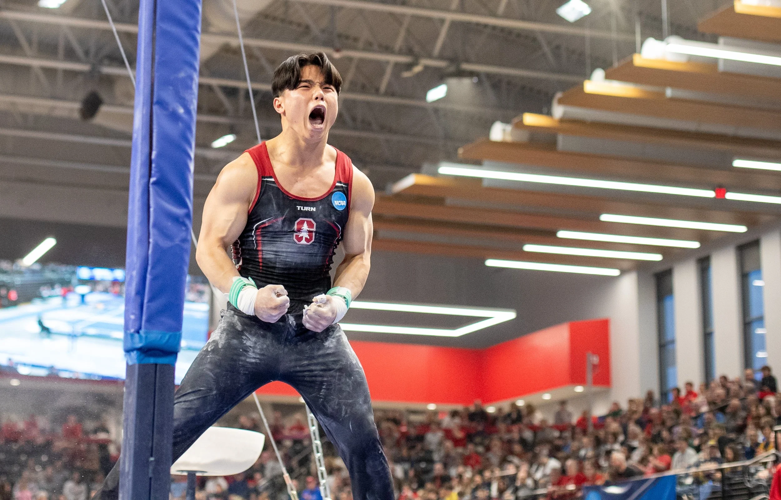 Stanford Gymnastics wins the NCAA Championships