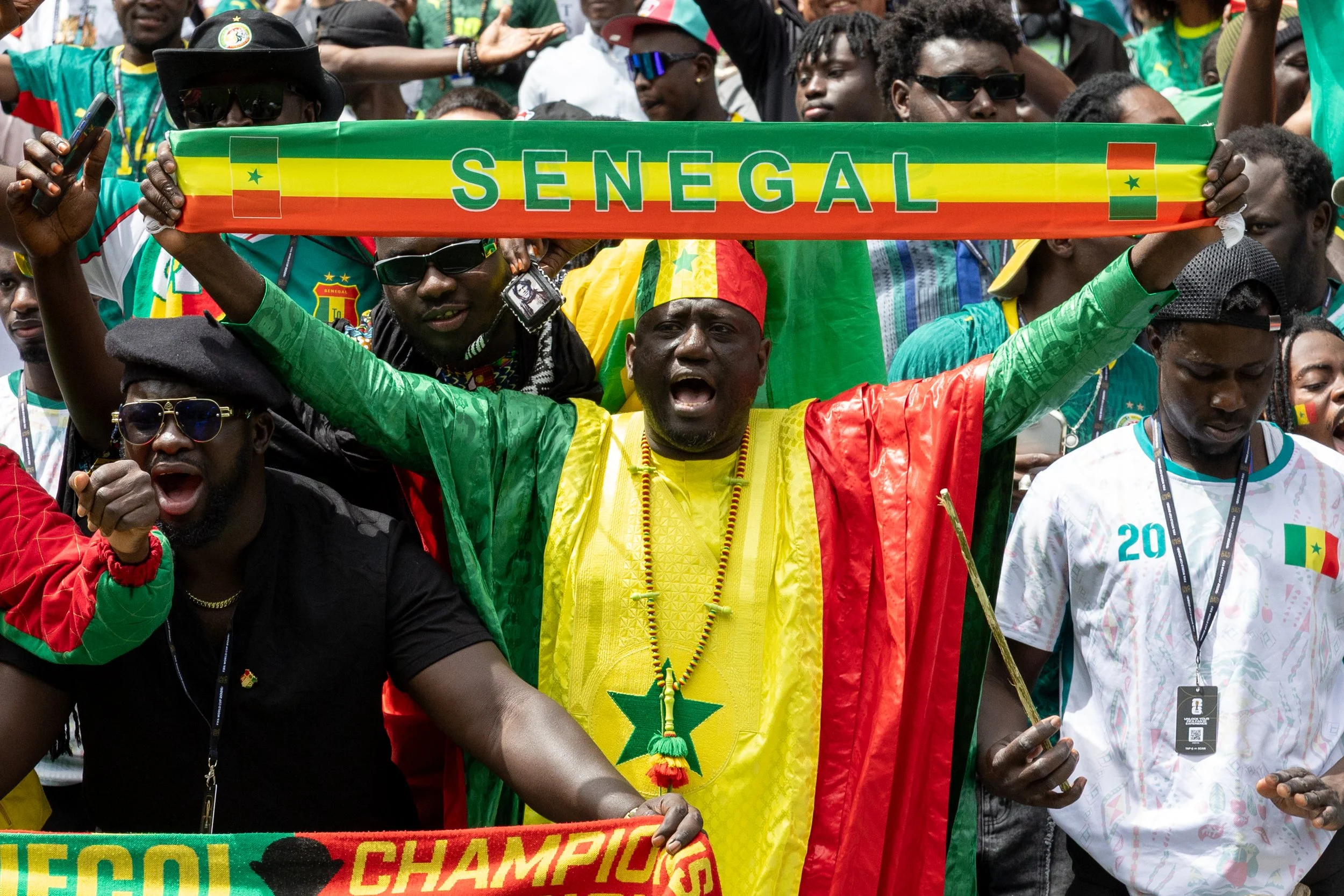 World Cup Fans