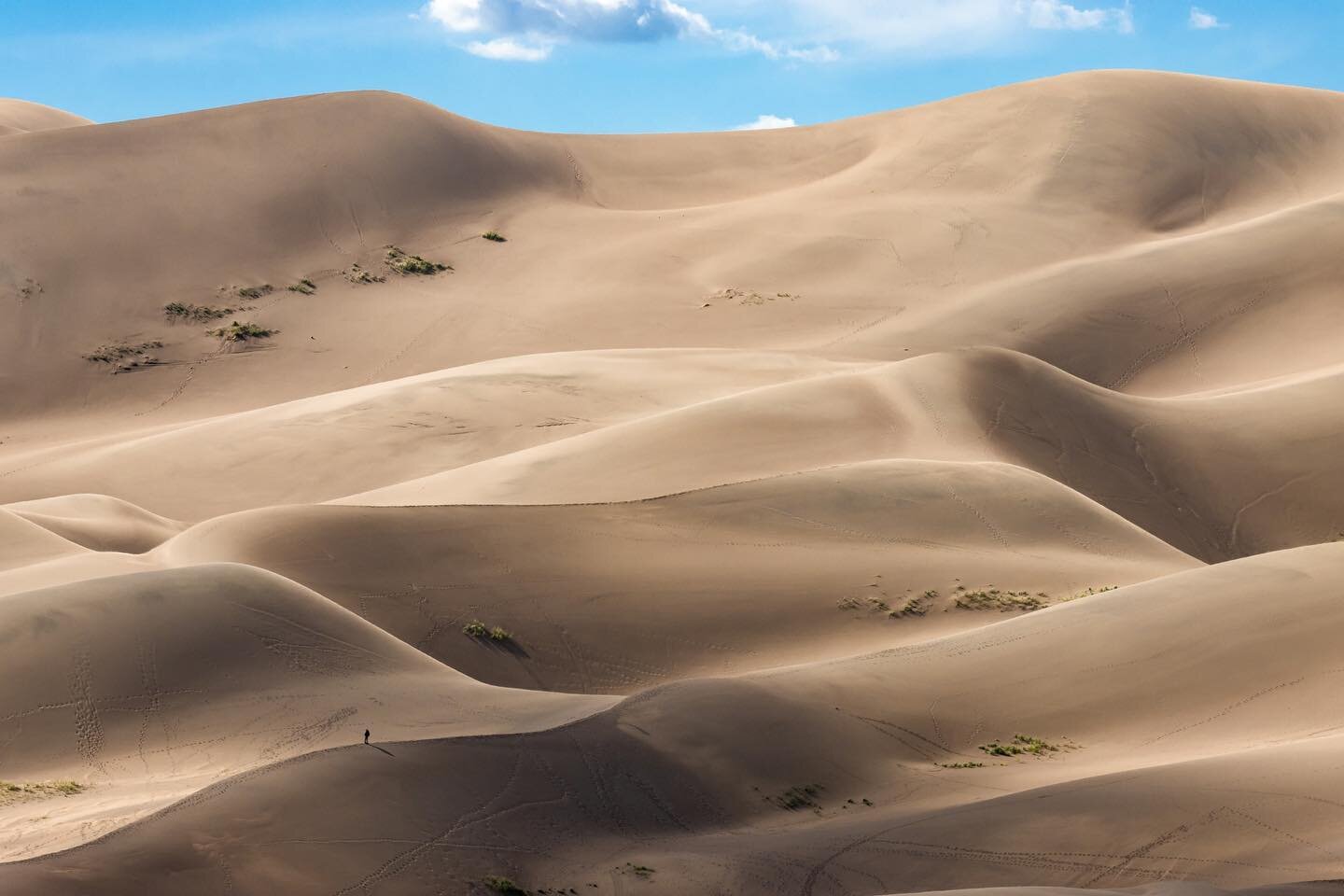 Had a great time this weekend visiting the dunes! So massive! This was taken from about half mile away. You can see a lone hiker that gives a great sense of scale!