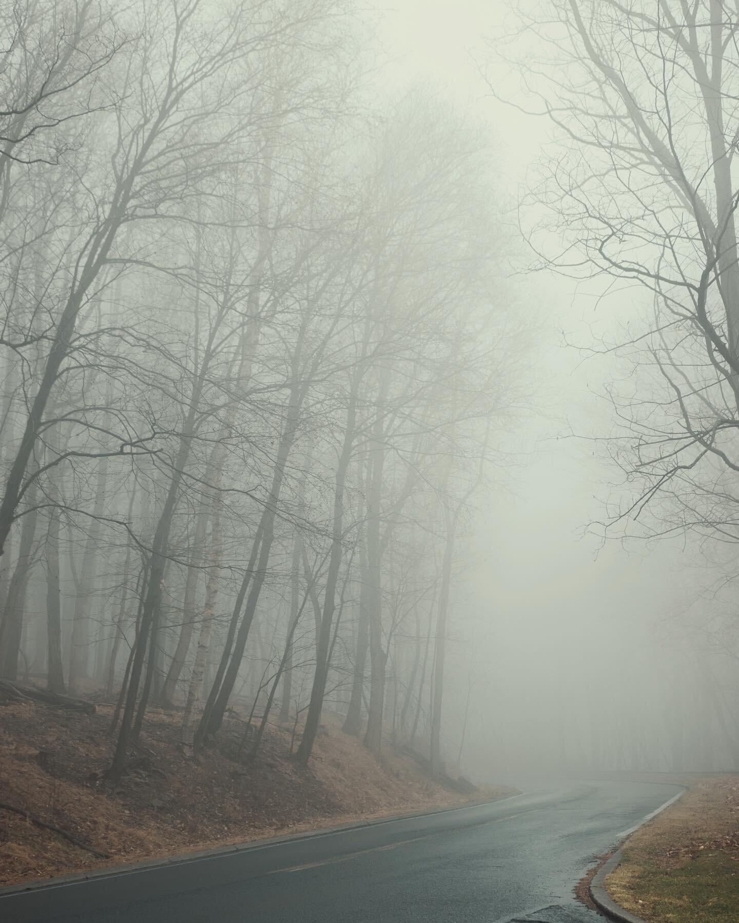 Foggy afternoon going up the hill near LU.

Camera: Canon 90D
Lens: Sigma 18-35mm
-

#moodygram #hdr #lightroom #sigmalens #sigmasartseries #canonusa&nbsp;#sigma1835 #canonphotography #canon90d #lego #landscapephoto #naturephotography #landscapephoto