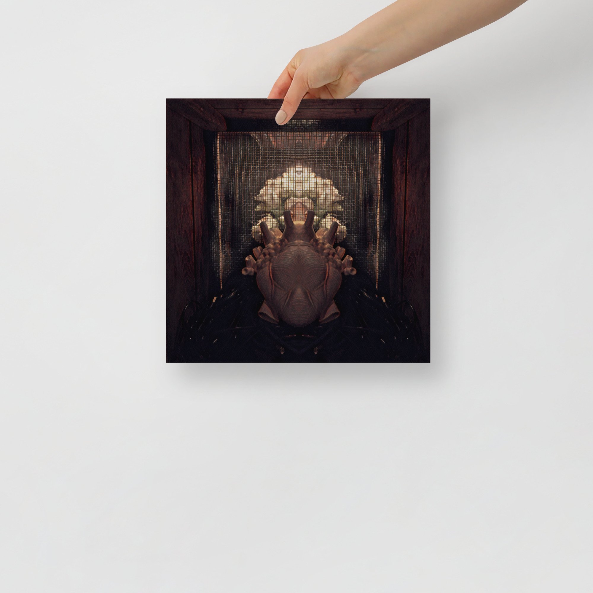 premium-luster-photo-paper-poster-(in)-12x12-front-6384a64fb3381.jpg