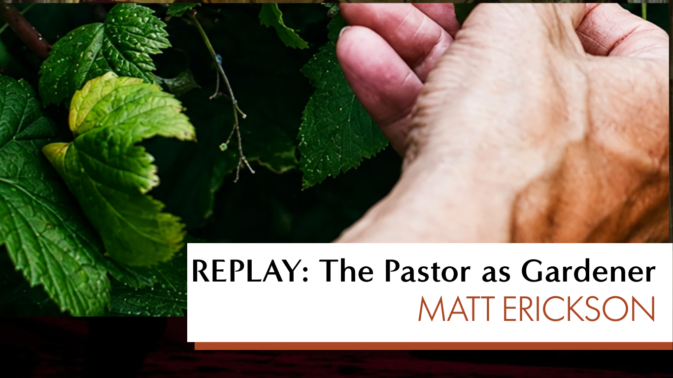 REPLAY - PodcastDoubleTemplate-2.png