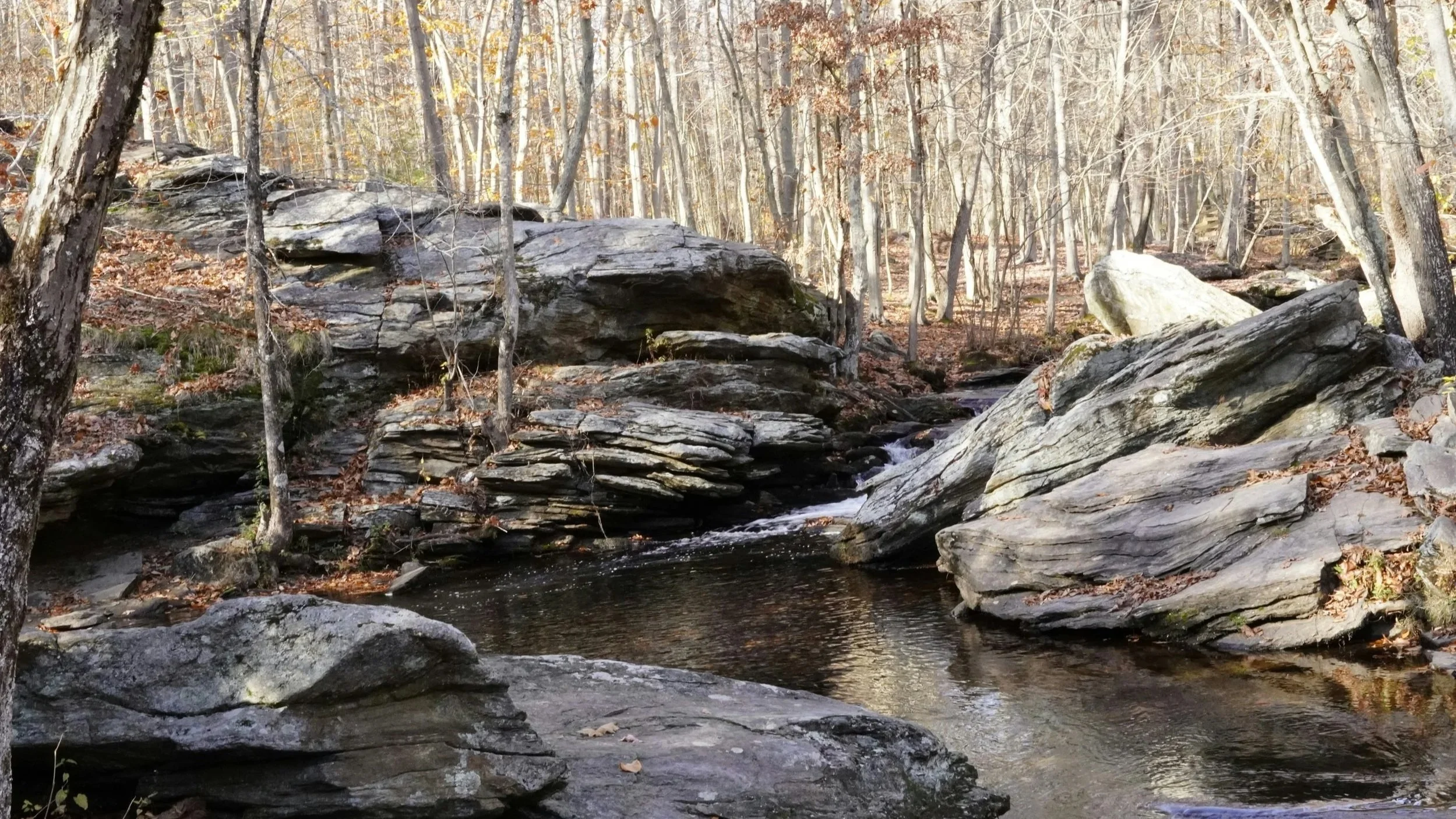 The Ministry of the Word and the Vocational Identity of the Pastor Theologian