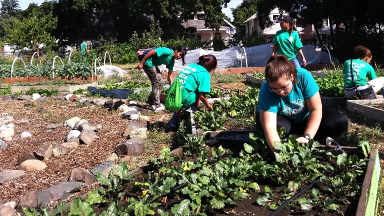 Growing a Stronger Community by Empowering Youth to Lead