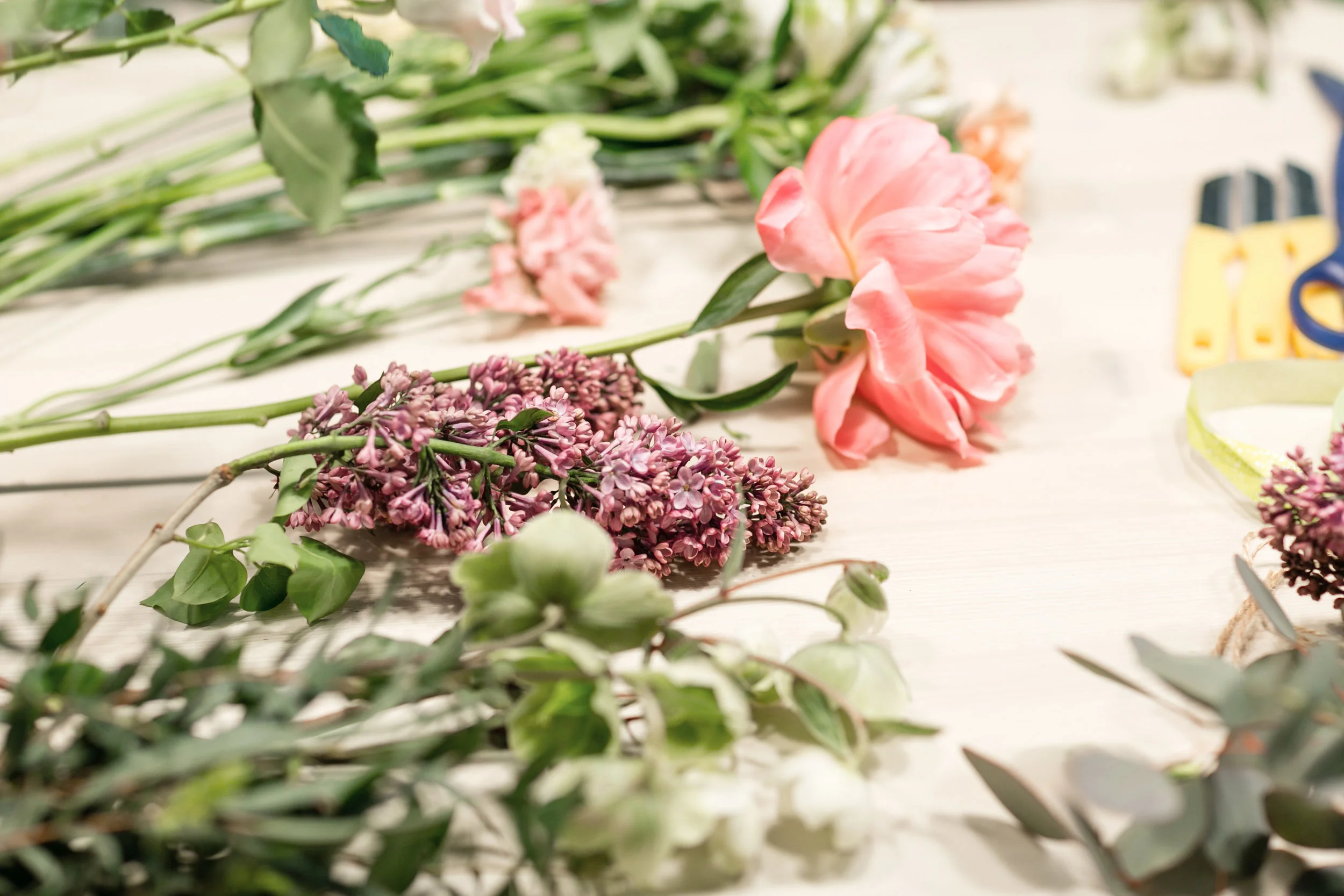 AdobeStock_188290368.jpeg