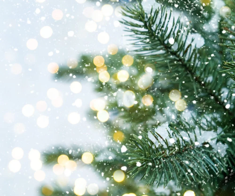 Dear Friends &amp; Neighbors