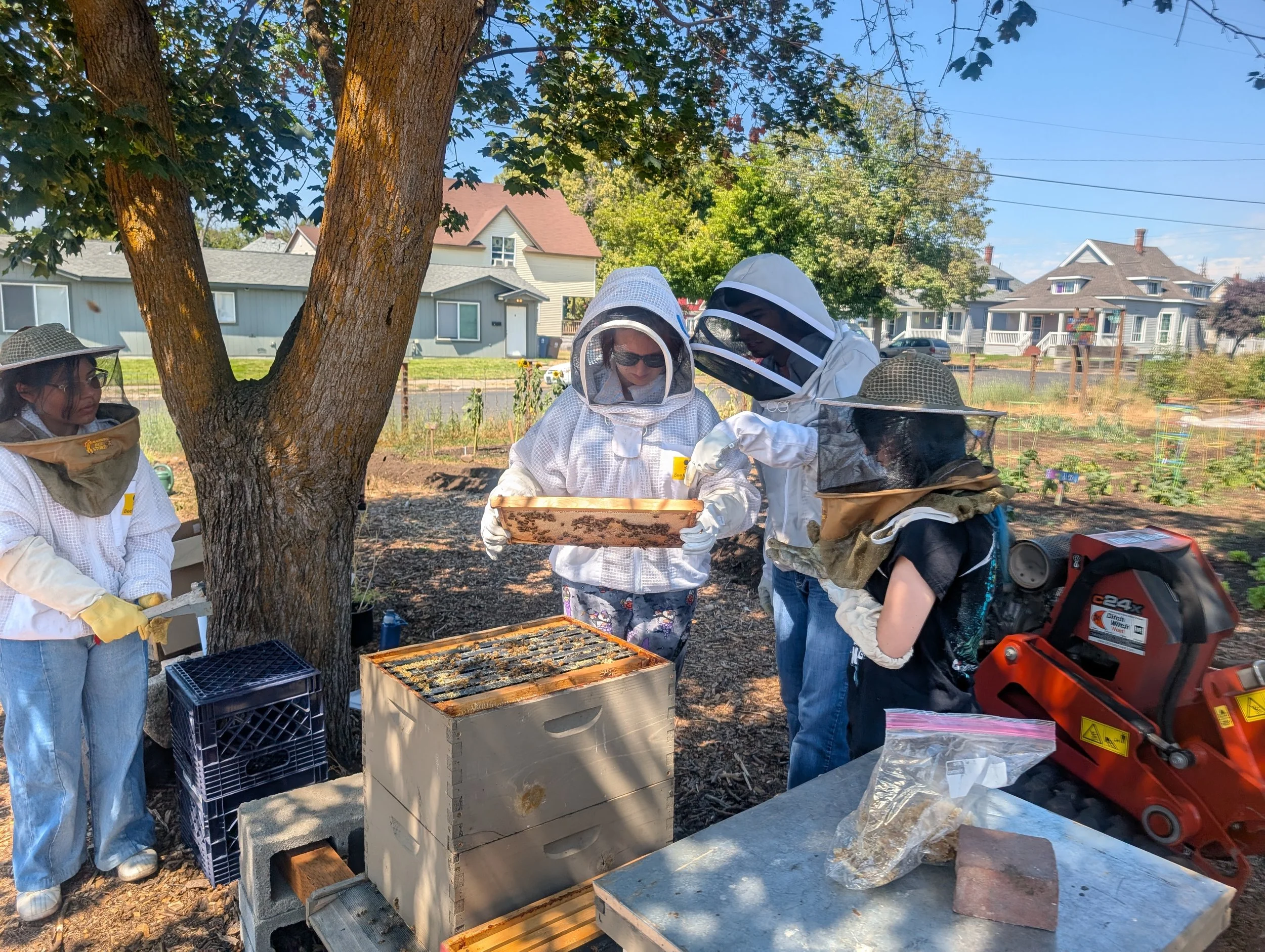 river-city-youth-beekeeping-west-cenral-spokane.jpg