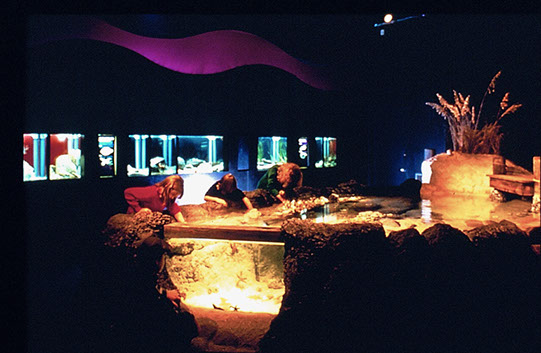 discovery%20place%202a.jpg
