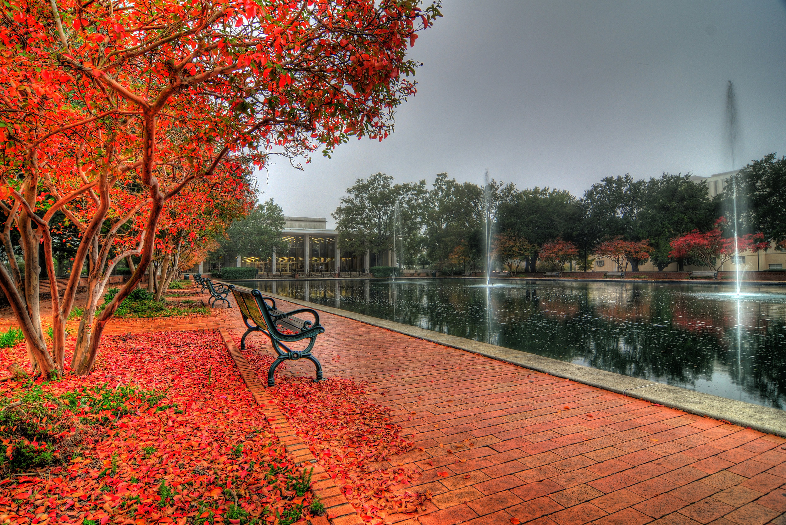 campus.jpg