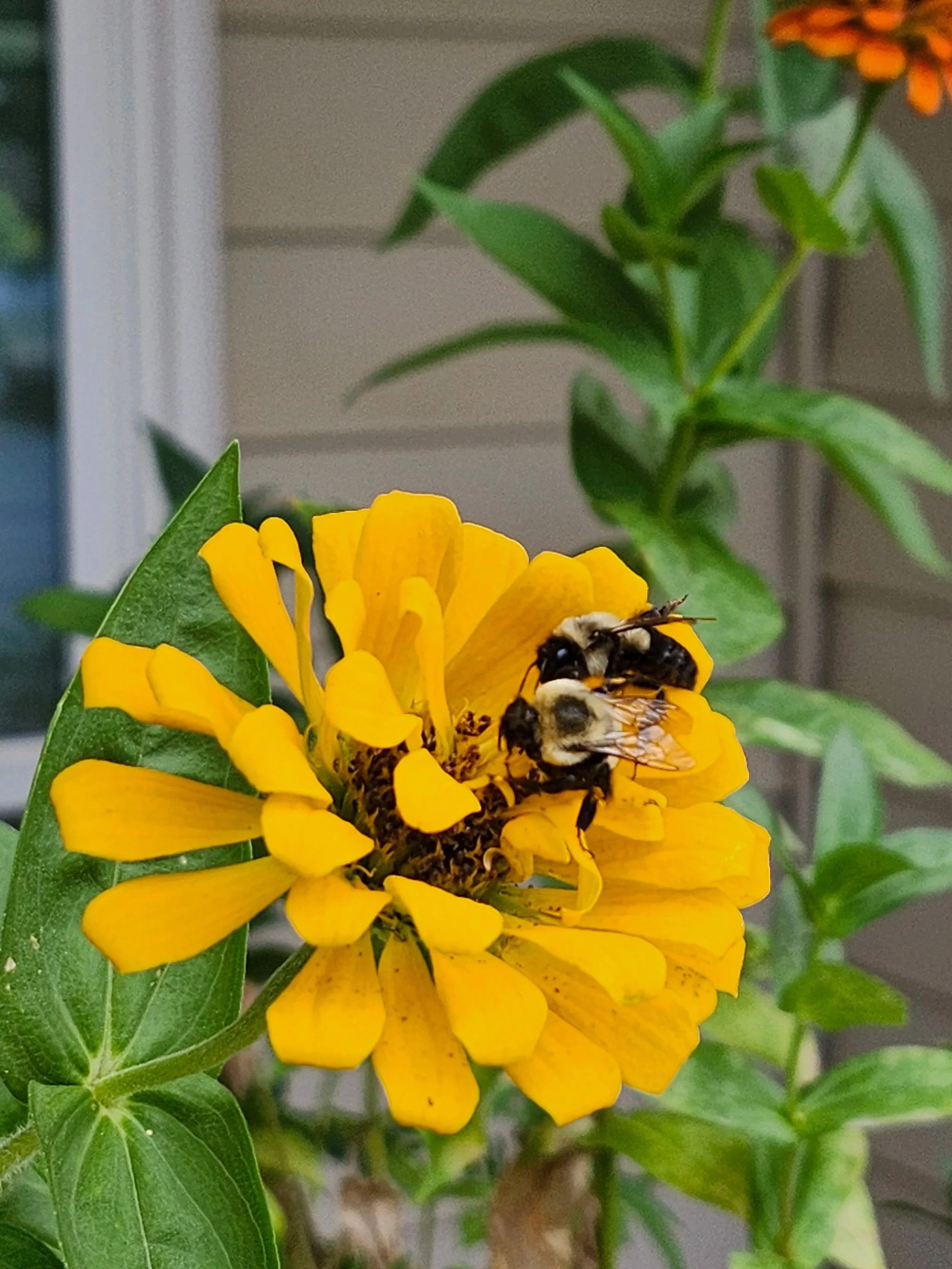 20250731_125203.jpg