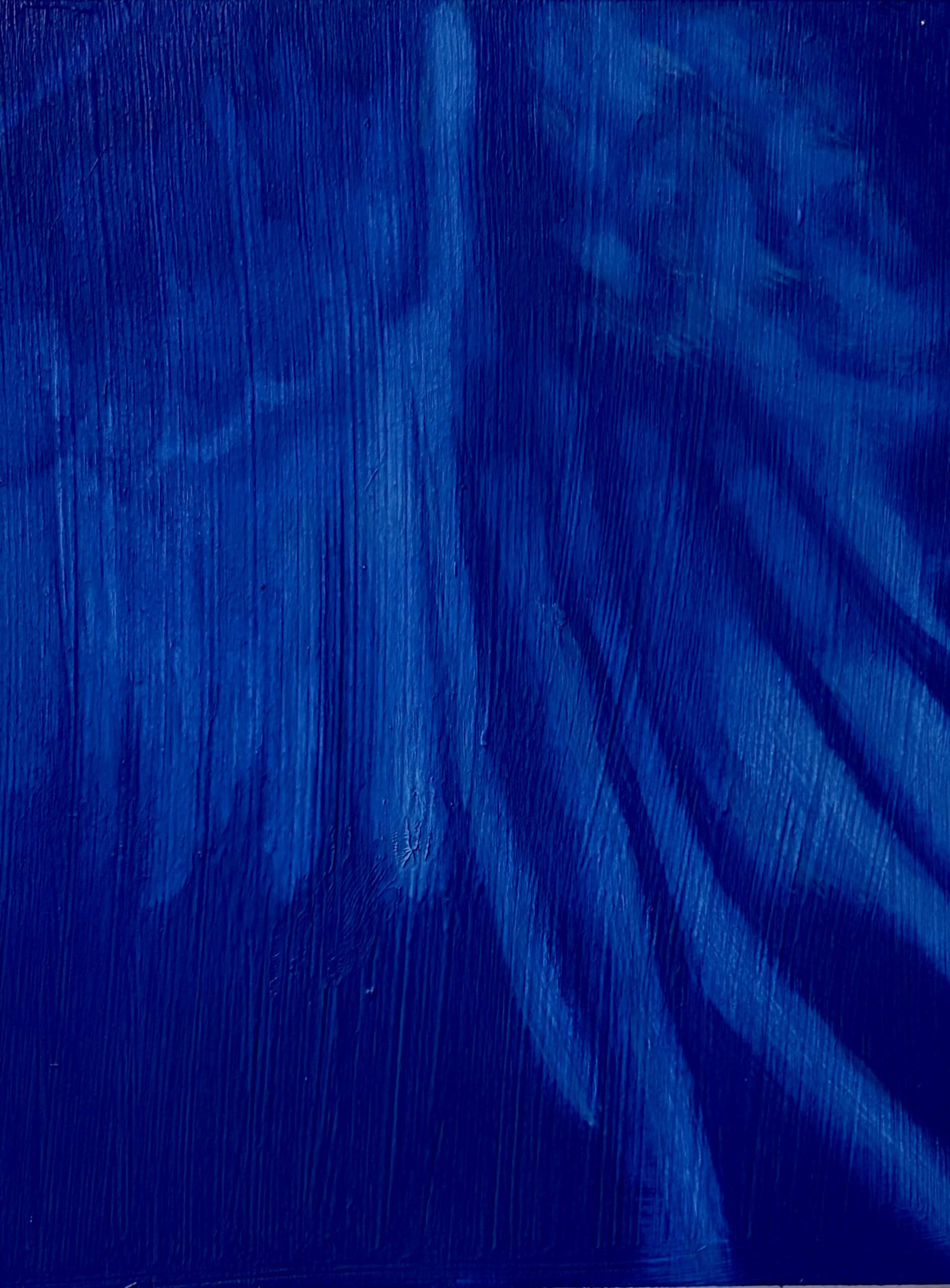 Blue Bird no. 2