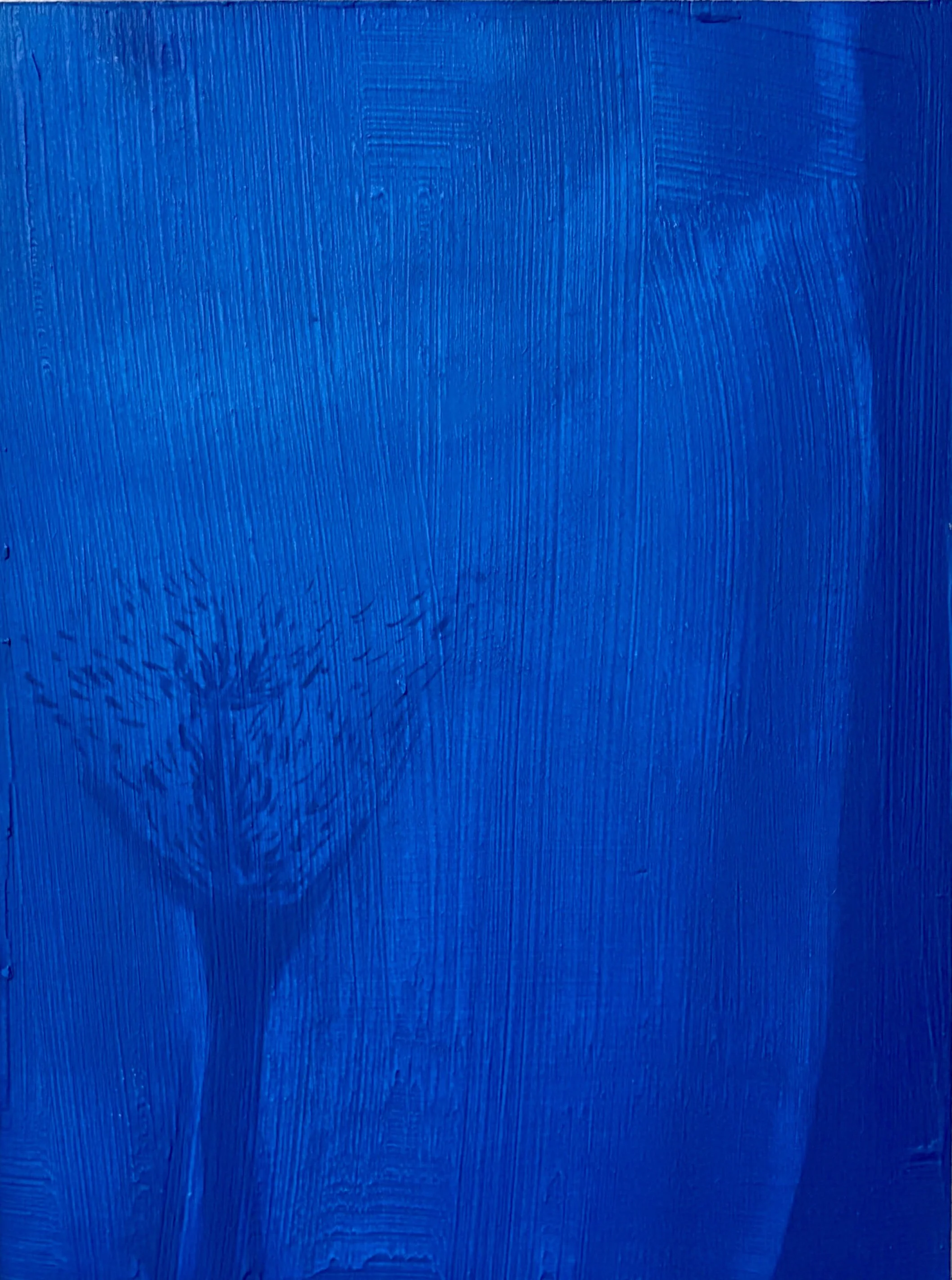 Blue Bird no. 3