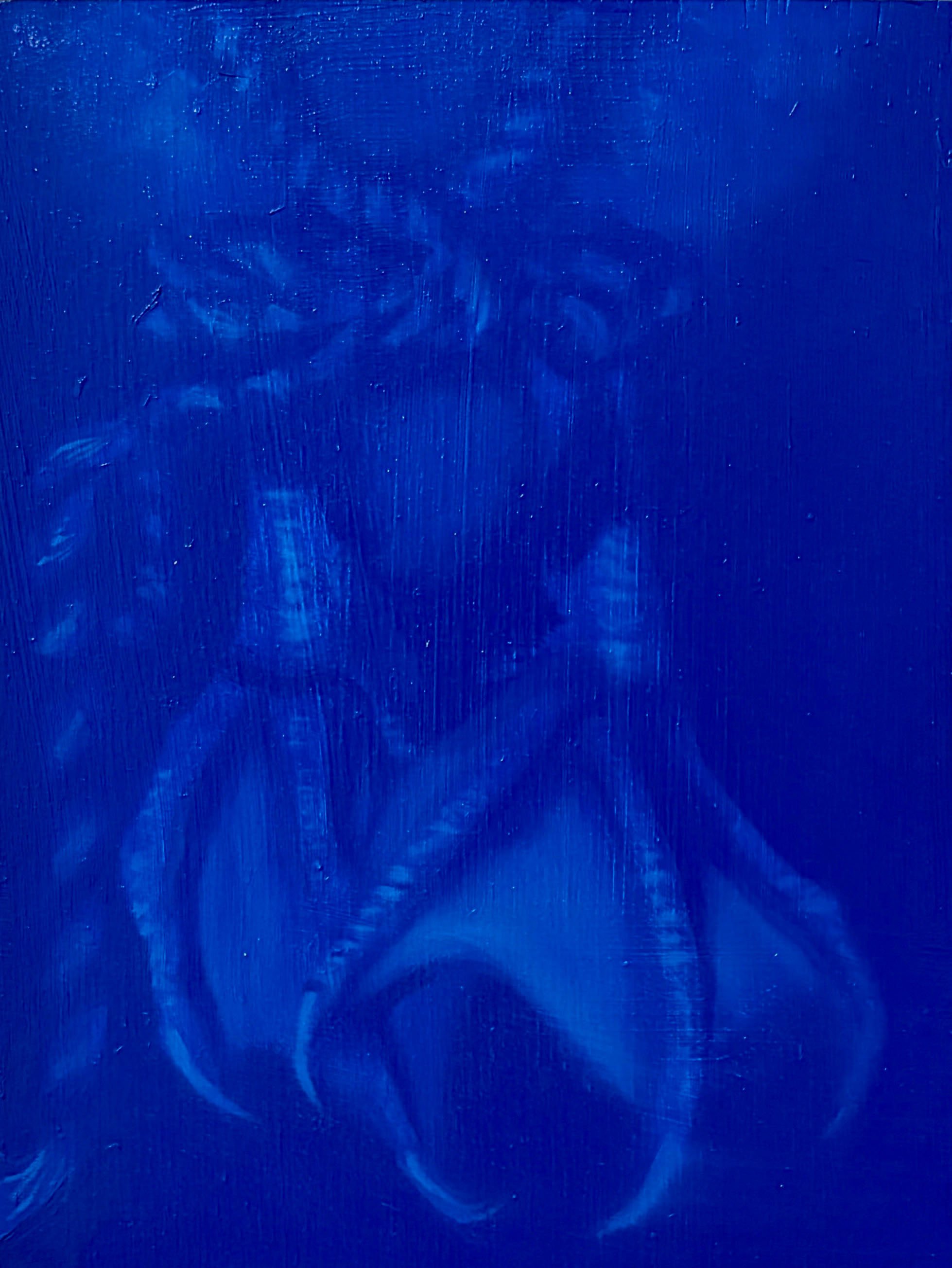 Blue Bird no. 4 