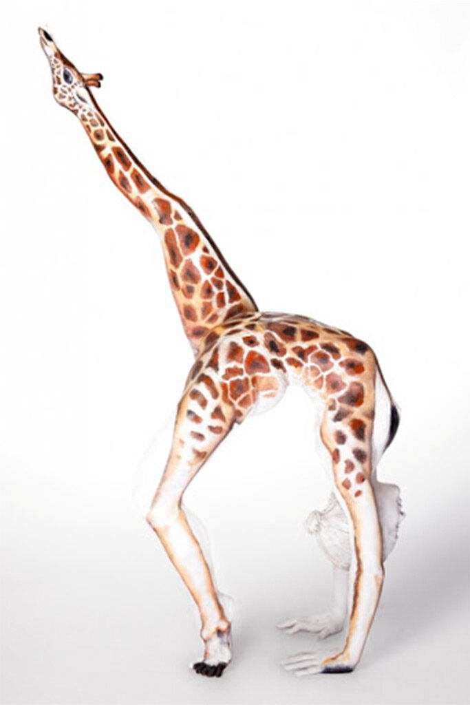 GiraffeEF.jpg