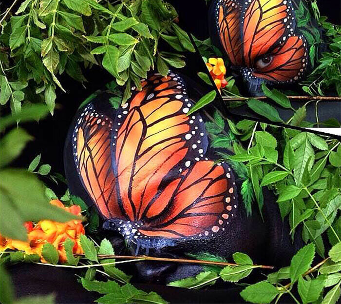 ButterflyWO.jpg