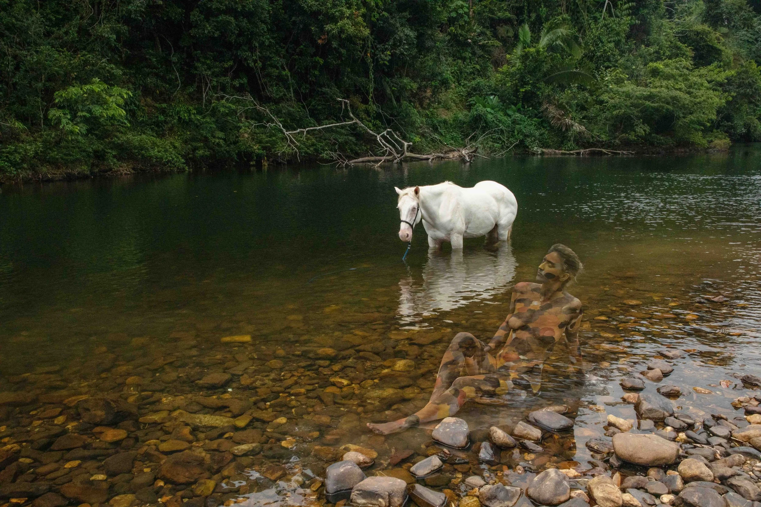 Unleashing Adventure: Outback Trail Rides in Belize and the Mesmerizing ...