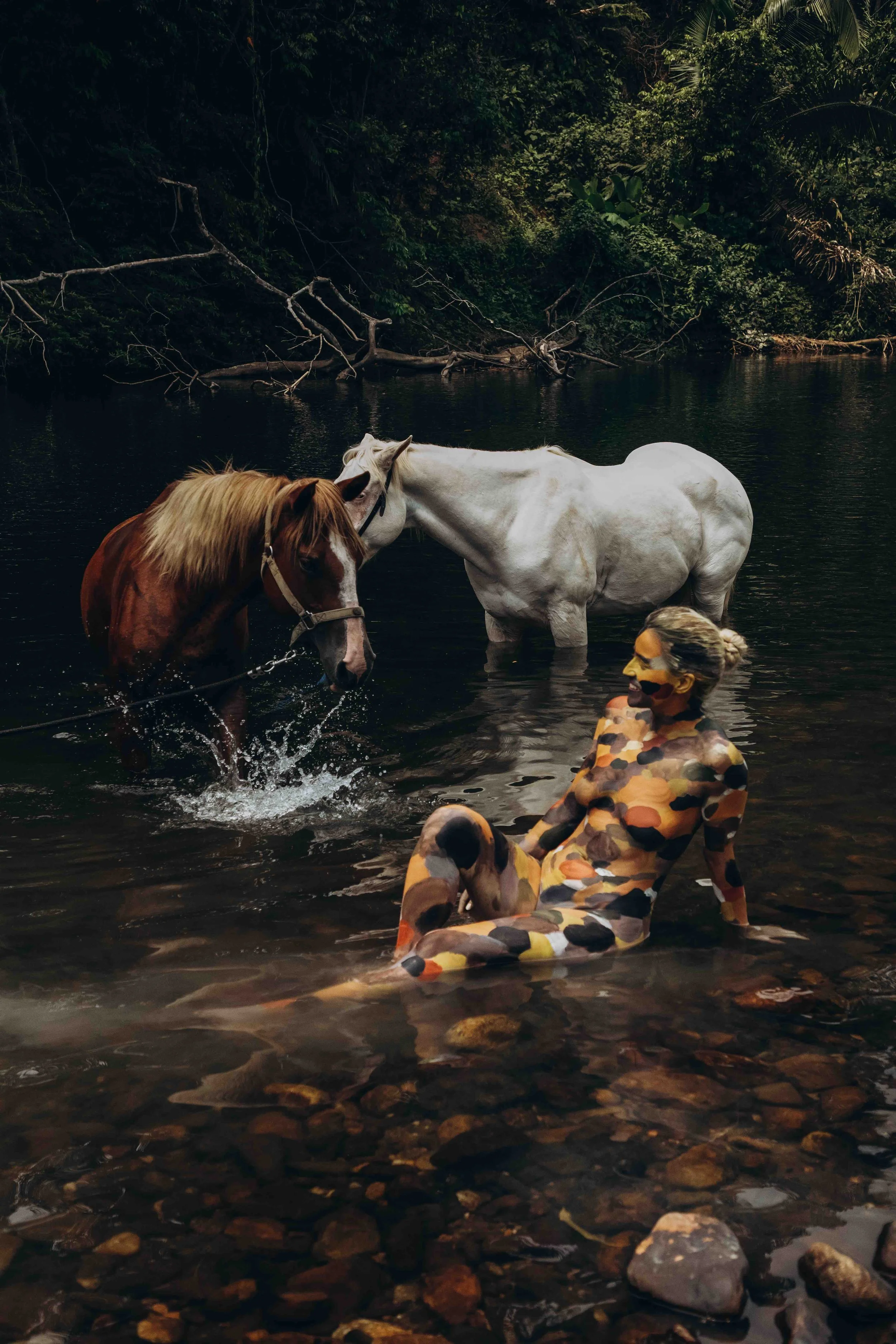 Unleashing Adventure: Outback Trail Rides in Belize and the Mesmerizing ...