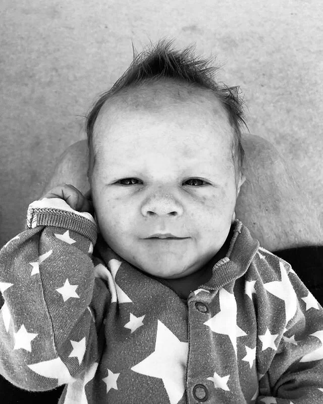 This is Charlie Vaughan Badger Kemp. He&rsquo;s ready for his close up 🥰💙🐻