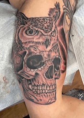 Owl With Skull Tattoo on Chest  Best Tattoo Ideas Gallery