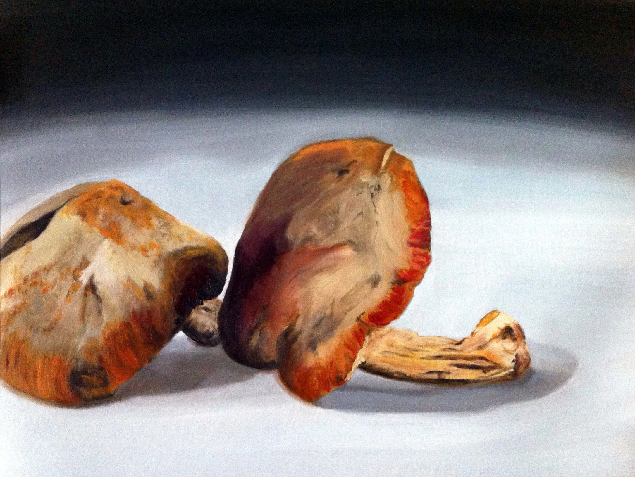 Shrooms #1