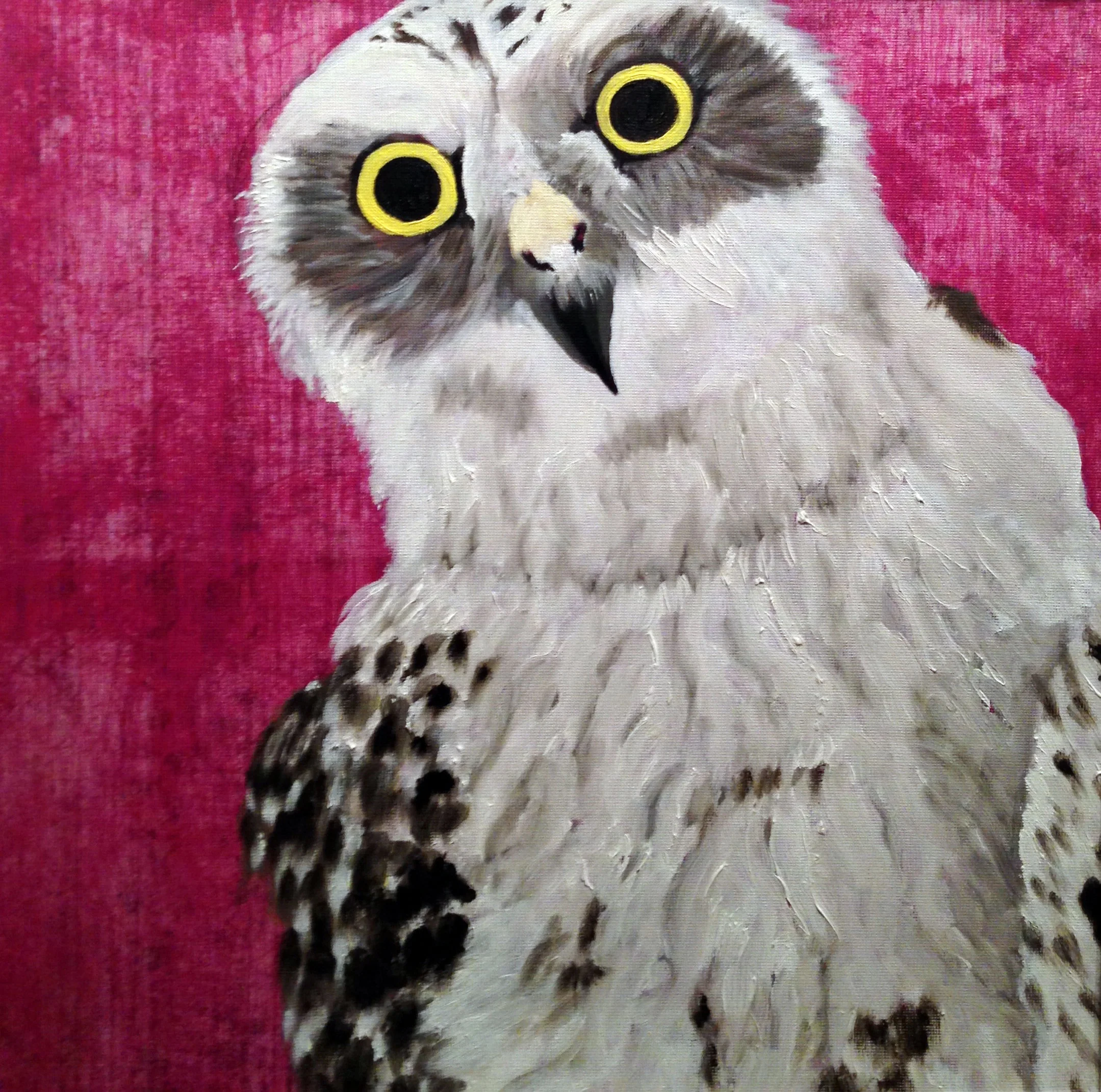 Owl #5