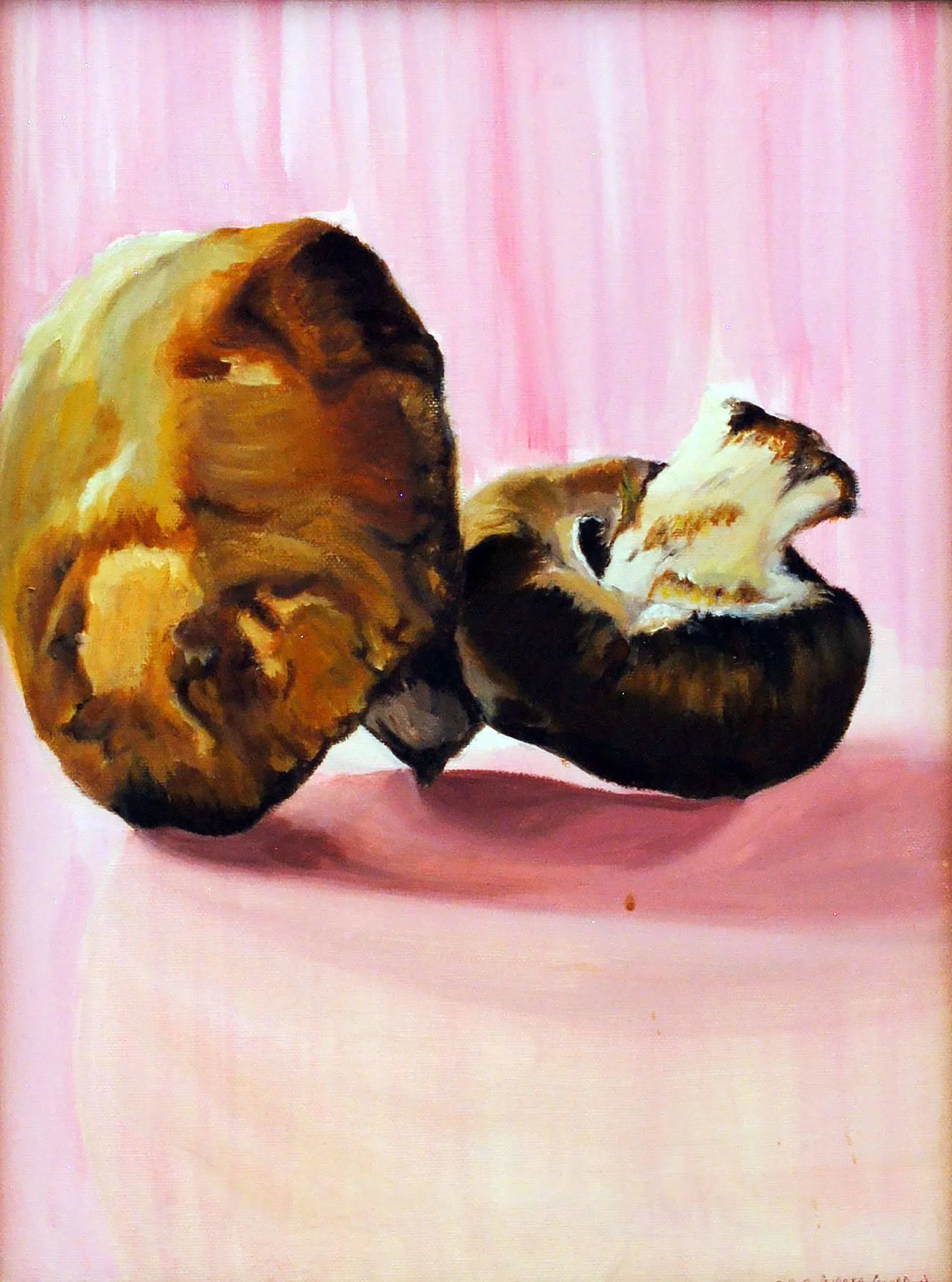 Pink Shrooms