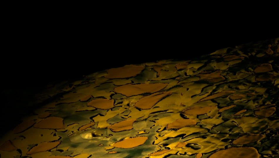 Abstract Texture Study