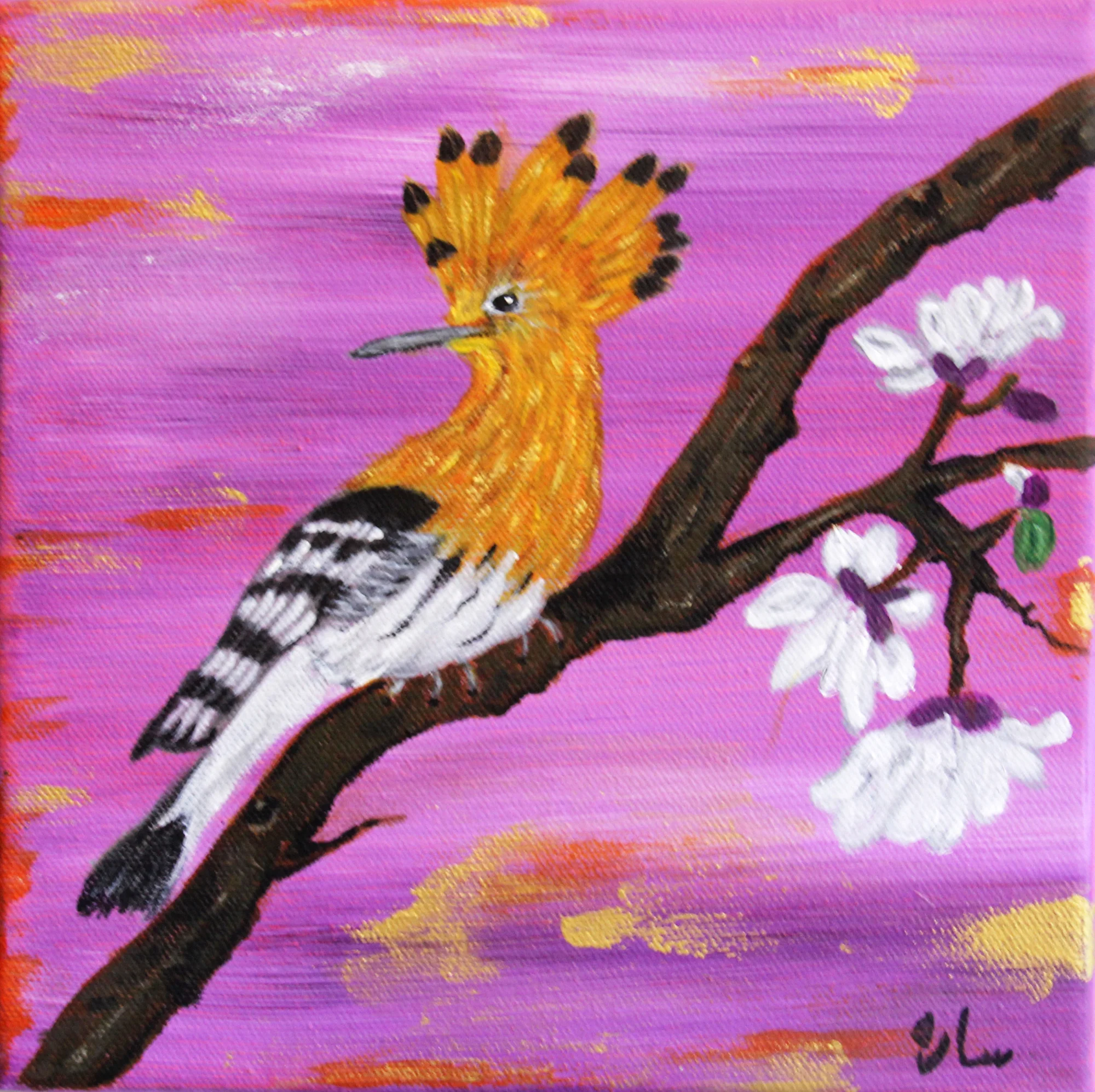 Hoopoe