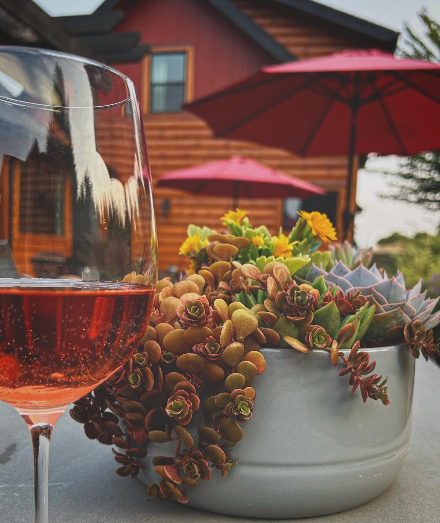 Enjoying some rose on the back patio. 

#franziskahaus #bedandbreakfast #rose #winelover #franziskahausbedandbreakfast #winehospitality #traveloregon #winecountryliving
