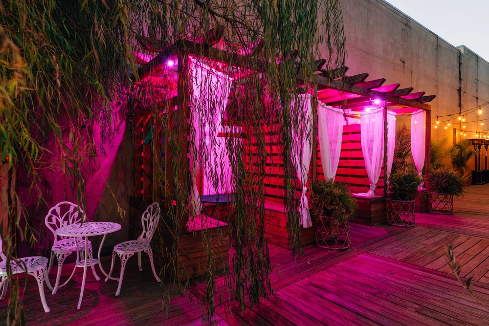 Flamingo Food/Cocktails/Dancing