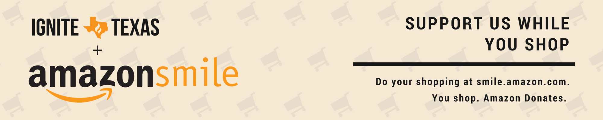 AmazonSmilexIgnite333.png
