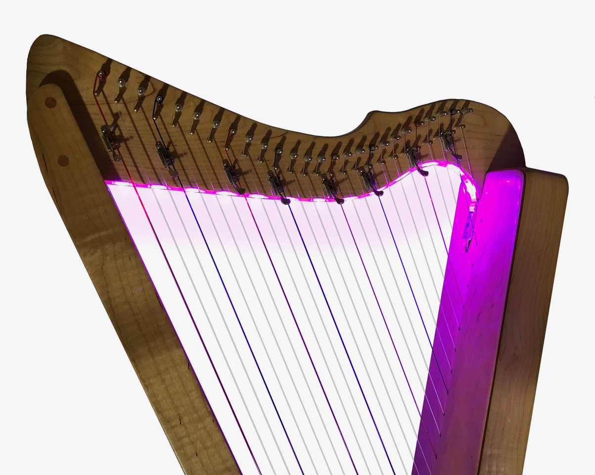 LED Lights - purple