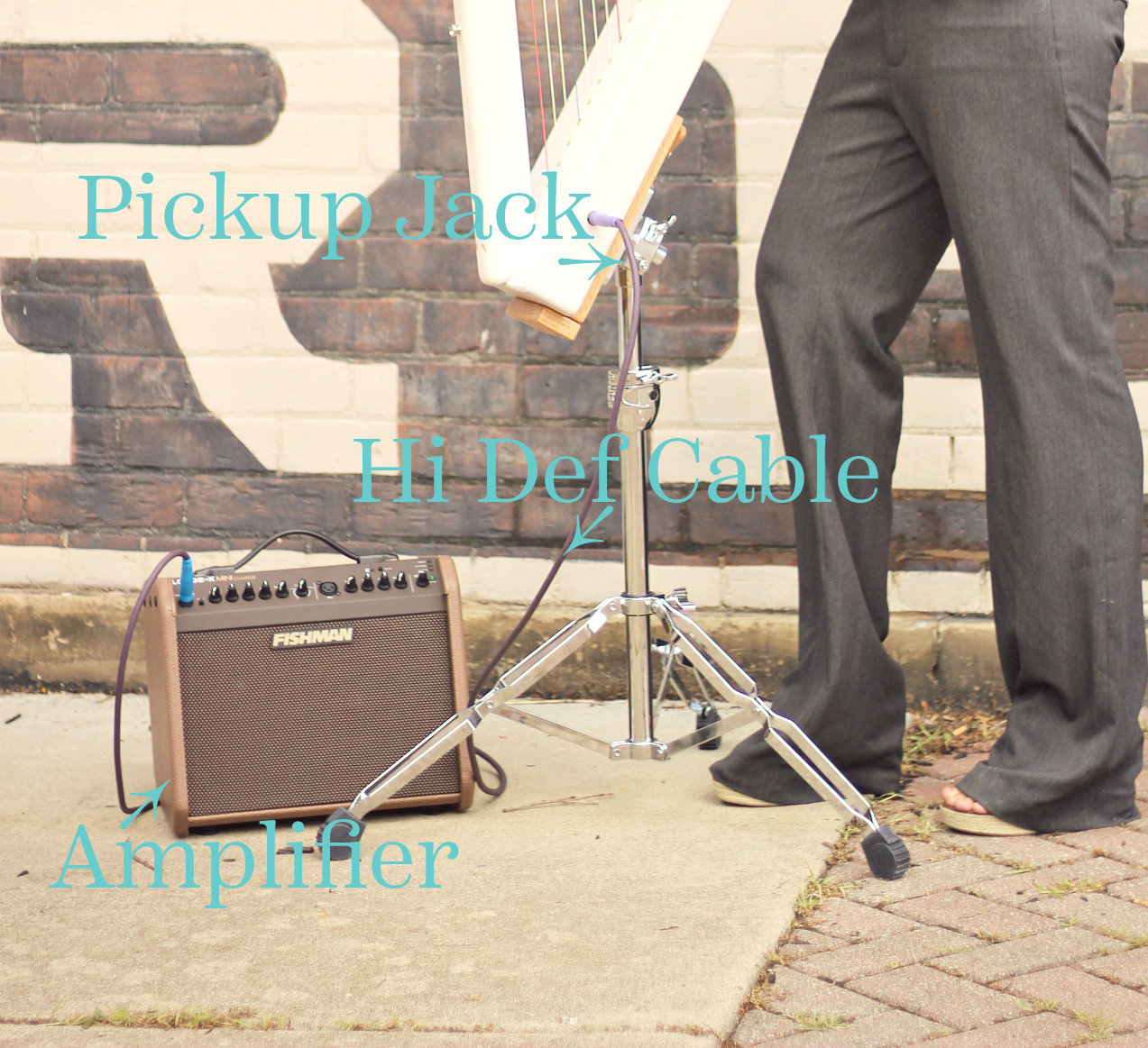 Amplification SetUp.jpg