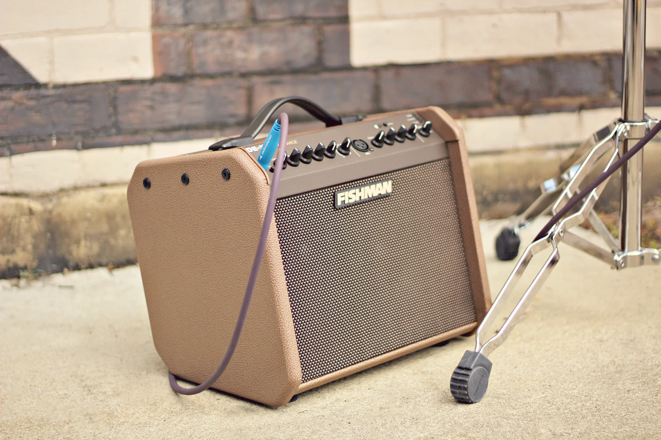 Rees Harps Loudbox Amp Close Up and Asterope.jpg