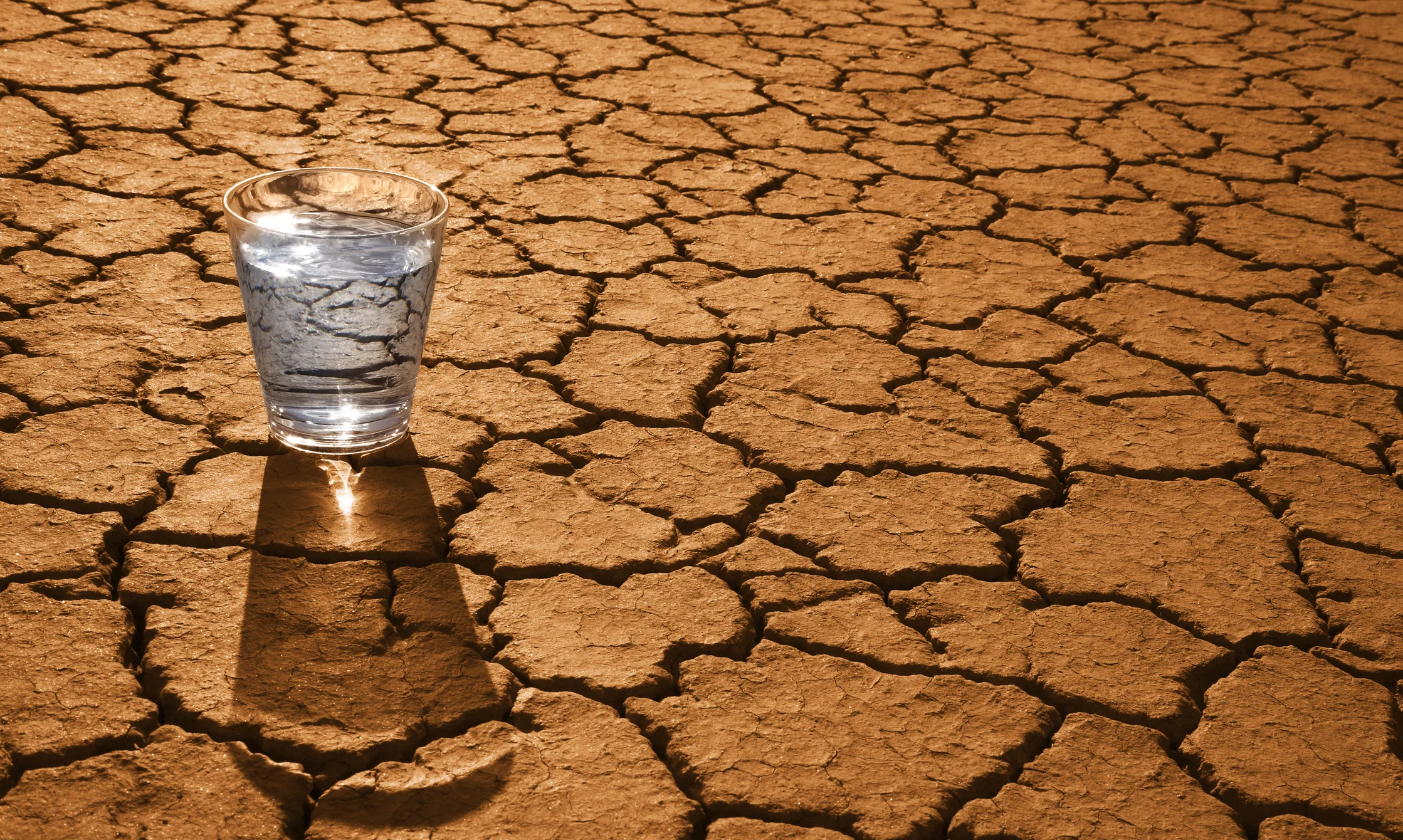 cracked desert and water.jpeg