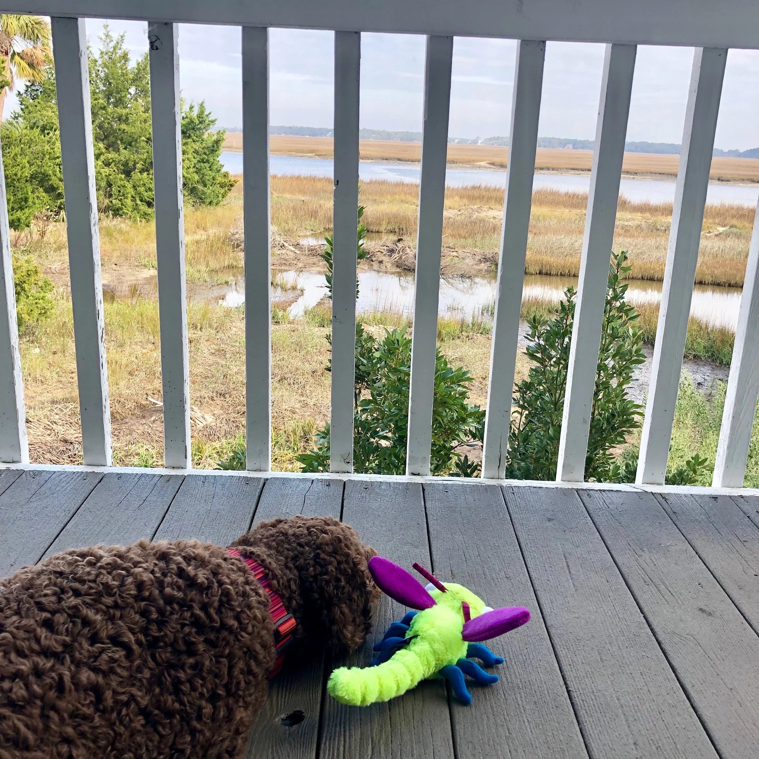 Christmas Vacation - Part 2