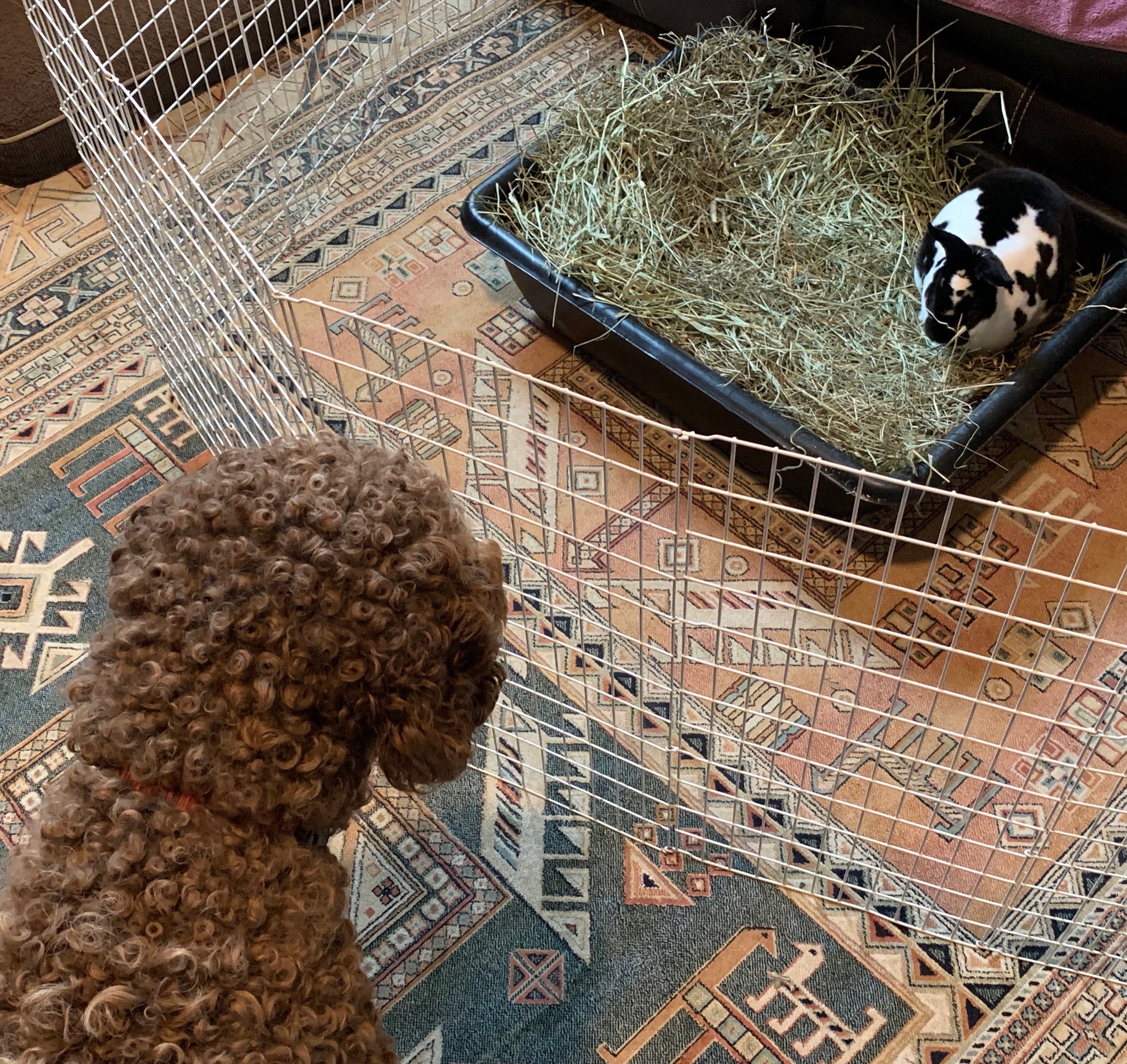 Ellie says “good-bye” to Owen.