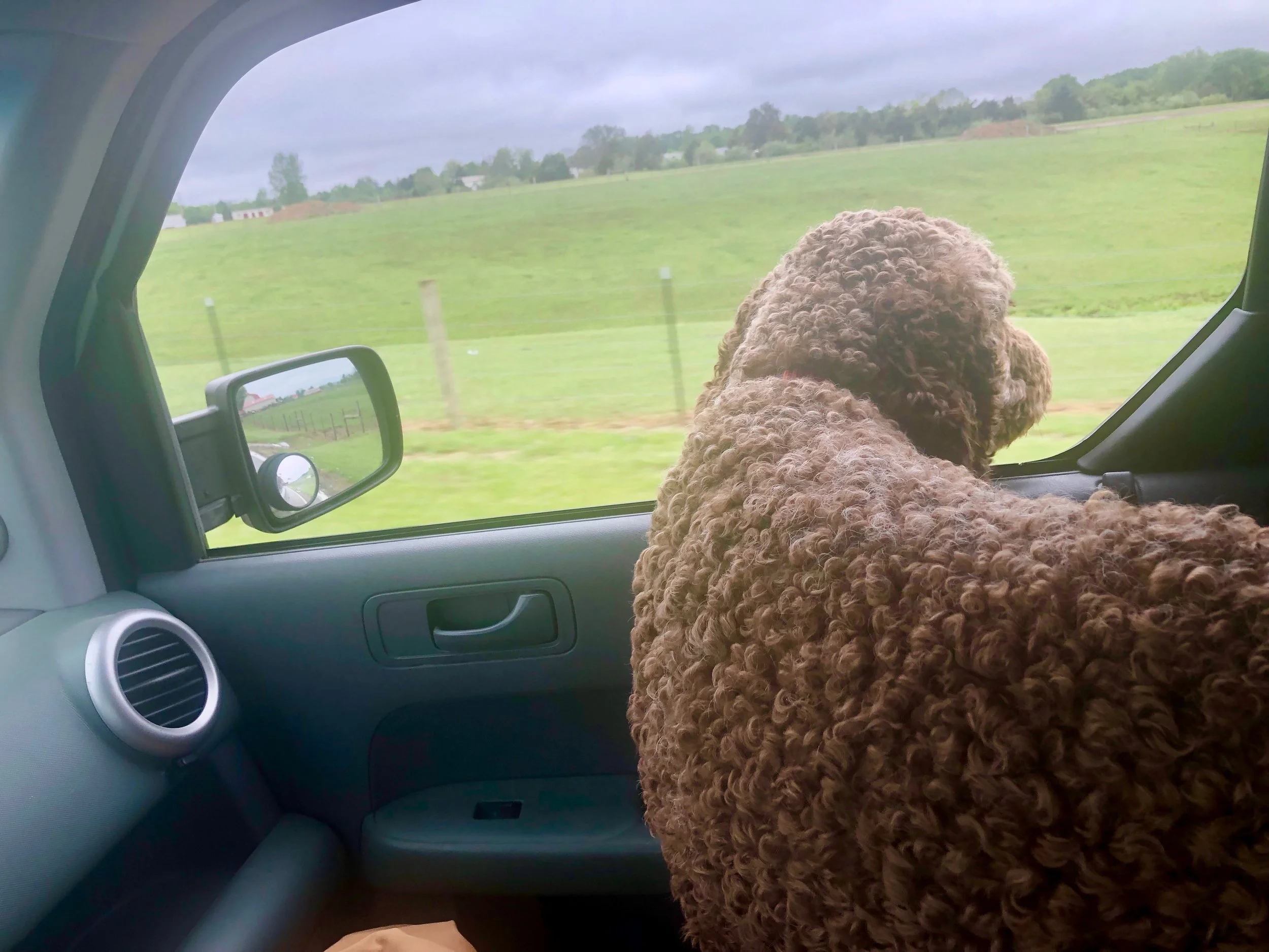 A Casual Drive