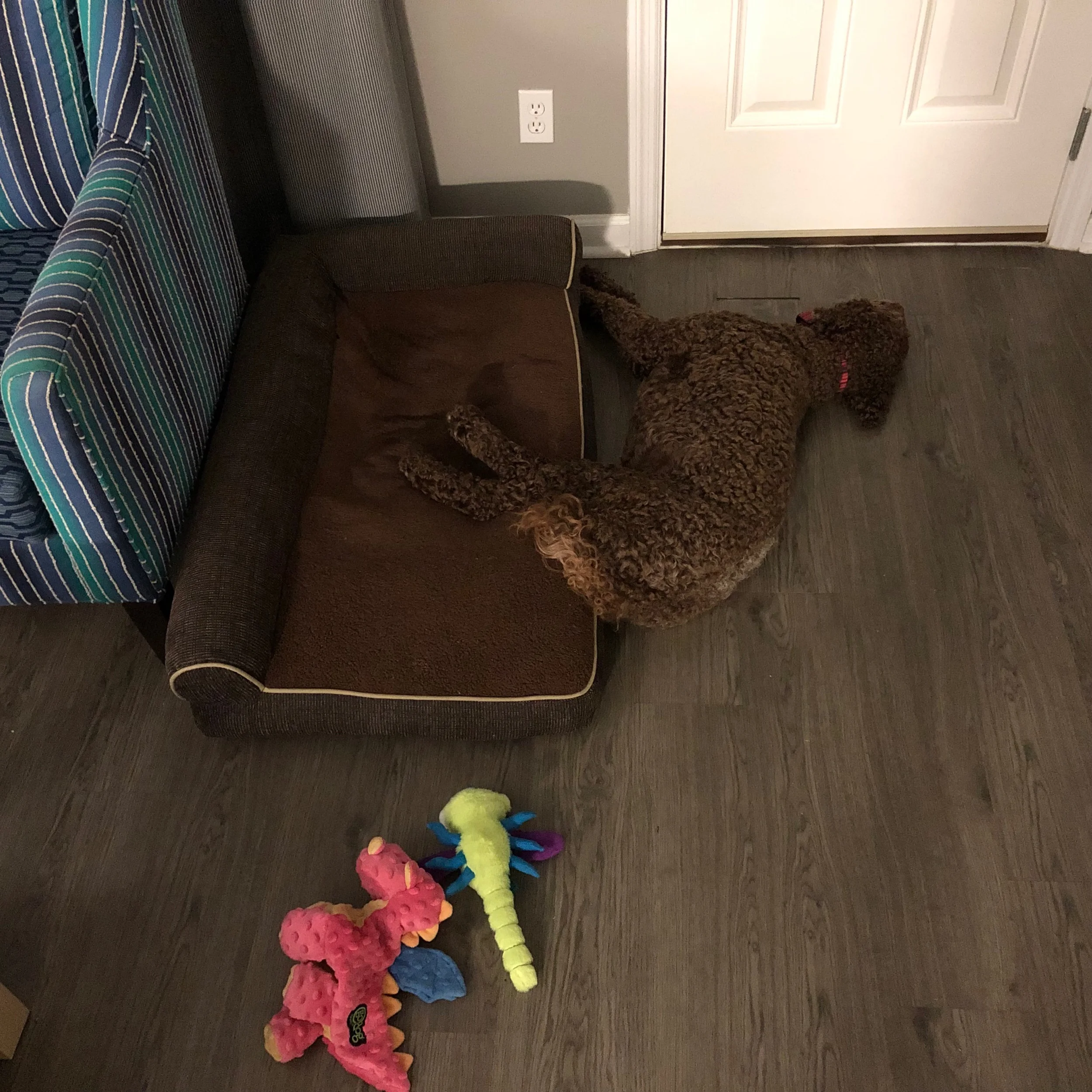 Dreaming of Pamela coming home…