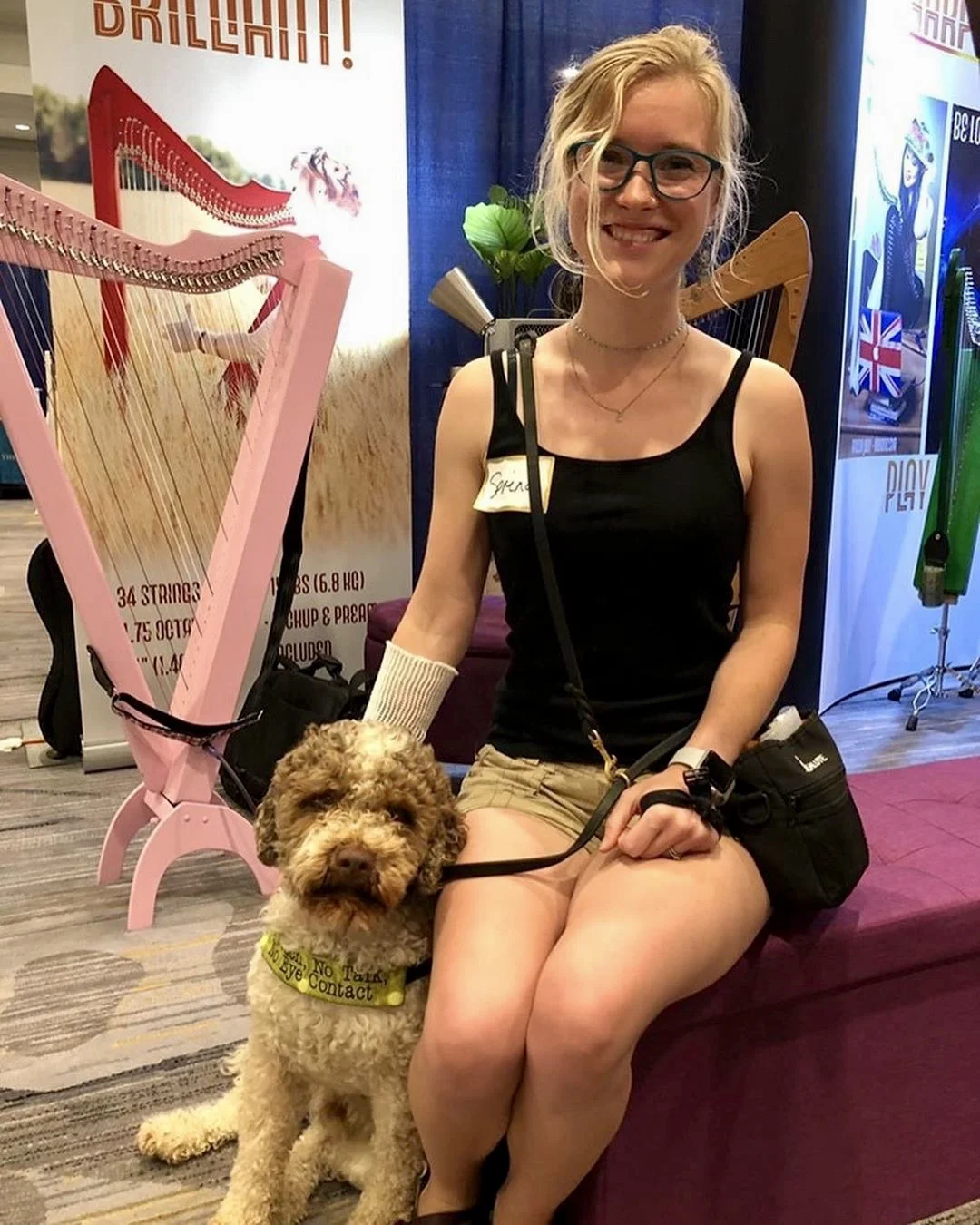 My fan Gus and his lovely human, Serina, visited the Rees Harps booth at the Somerset Harp Festival.