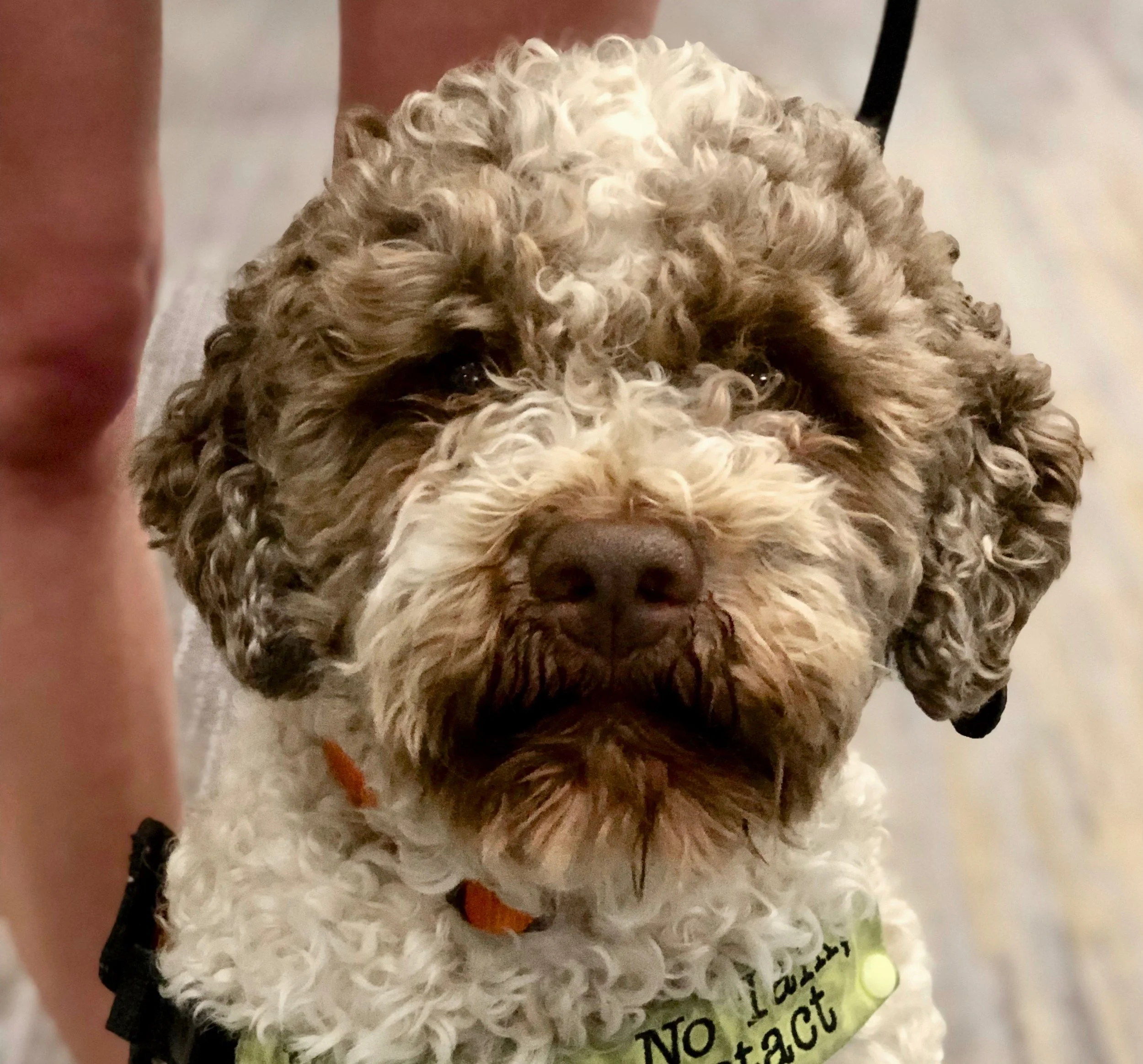 I have a Fan!! *Blush*