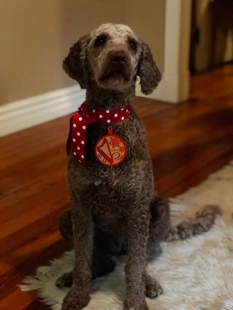 Our 2019 Christmas Ornament!