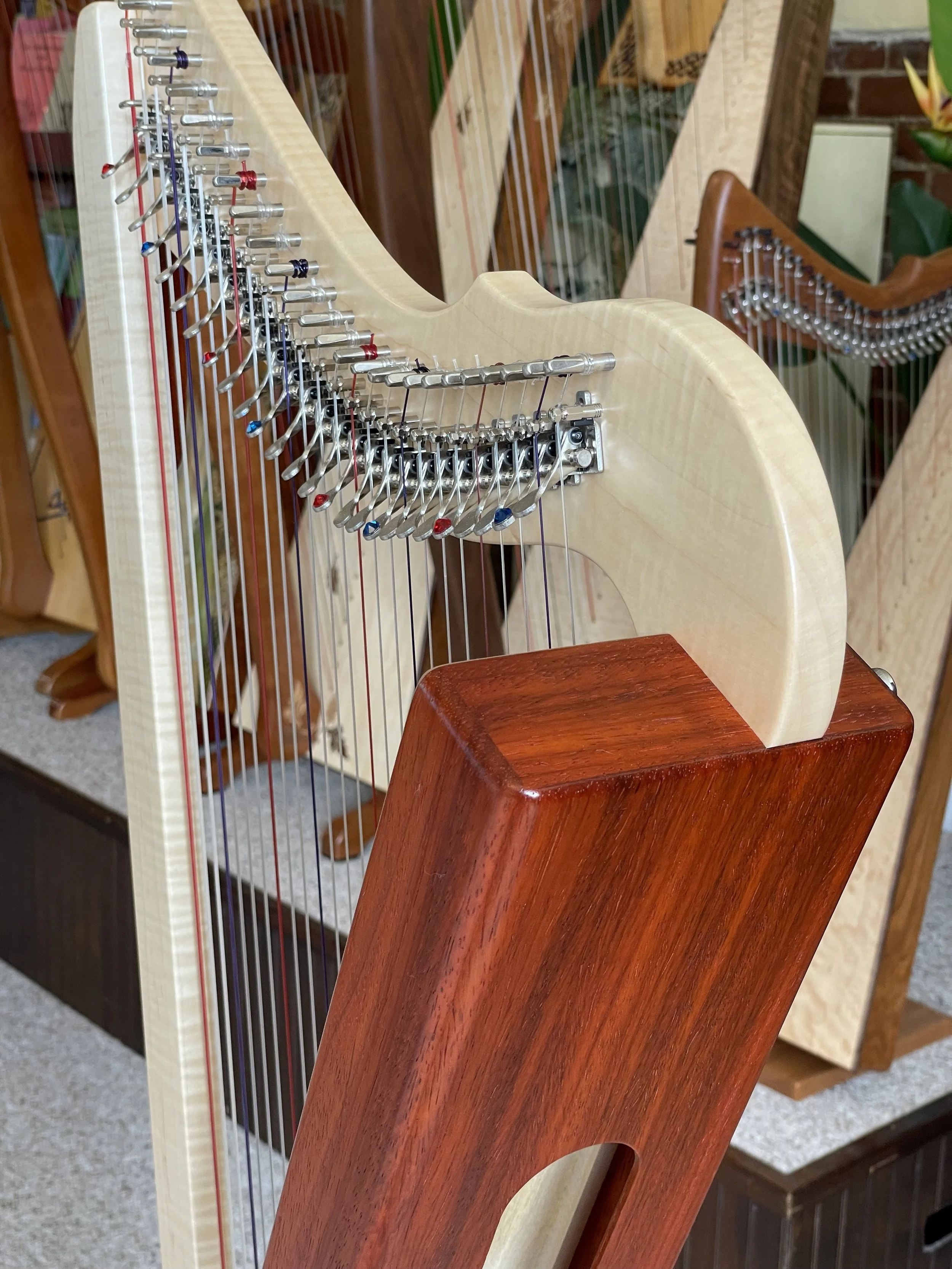 Limited Edition Fullsicle™ Harp African Padauk and Curly Maple Combo